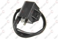 Электронный блок управления INPARTS IP000046