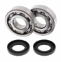 ALL BALLS 24-1011 - комплект подшипников коленвала KAWASAKI KX 500 1983-2004