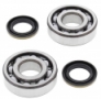 All Balls 24-1045 - комплект подшипников коленчатого вала Honda CT90 Trail 1966-1979, Kawasaki KDX200 1991-2006, KDX220 1997-2005
