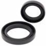 All Balls 24-2038 - набор сальников коленвала Suzuki LT-250R 1985-1992, LT-500R 1987-1990