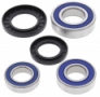 All Balls 25-1634 - комплект подшипников заденго колеса SUZUKI GSX-R 600/750 2011-2017