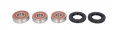 TOURMAX WBK-289 - комплект подшипников задненго колеса Honda CB500 1998-2000, Honda CB500S 1998-2000, Honda VT 600C 1998-2000