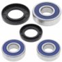ALL BALLS 25-1269 - комплект подшипников оси заднего колеса SUZUKI GSF 1200 1997-2005, GSF 600 1996-2003, SVF 650 (09), SV 650 2003-2009