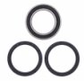 Комплект подшипников заденго колеса CAN-AM DS450 EFI/STD/X 2009-2014 (All Balls 25-1630)