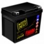 Аккумулятор Fiamm FTZ7S-BS