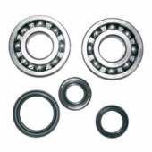 Подшипники двигателя Athena P400510400241