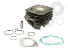 Чугунный цилиндр RMS 10 008 0080