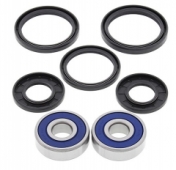 All Balls 25-1311 - комплект подшипников и сальников переднего колеса HONDA CBR250R 2011-2013,CBR300R 2015-2018,VT125 SHADOW 1999-2006,YAMAHA XV750 VIRAGO 1988-1997,XTZ750 1990-1995