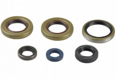 Athena P400270400042 - набор сальников двигателя KTM SX65 2001-2008, XC65 08