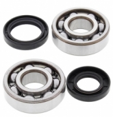 All Balls 24-1024 - комплект подшипников коленвала  YAMAHA YZ 125 1986-2000