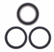 All Balls 25-1630 - комплект подшипников заденго колеса CAN-AM DS450 EFI/STD/X 2009-2014 Комплект подшипников заденго колеса CAN-AM DS450 EFI/STD/X 2009-2014 (All Balls 25-1630)