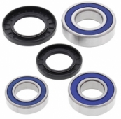 All Balls 25-1634 - комплект подшипников заденго колеса SUZUKI GSX-R 600/750 2011-2017