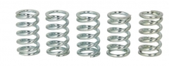 TRW LUCAS MEF123-5 - комплект пружин сцепления KAWASAKI GPZ 500 1987-2004, KLE 500 1991-2007, W 650 1999-2005, Z 1000 ST 1979-1981, (EBS010)