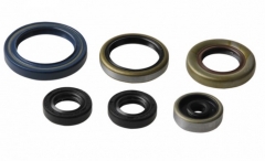 Комплект сальников двигателя Athena P400270400013 для KTM SX 85 2003-2017, KTM SX 105 2004-2011, HUSQVARNA TC 85 2014-2017