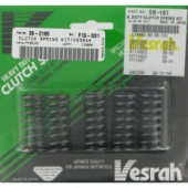 Пружины сцепления HONDA VT1100C 97-07, CBR 1000F 87-96, CB 1000R 09-12 (VESRAH SK-161) VESRAH SK-161 - комплект пружин сцепления для HONDA VT1100C 1997-2007, CBR 1000F 1987-1996, CB 1000R 2009-2012