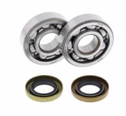 ALL BALLS 24-1102 - комплект подшипников коленвала KTM SX60 1998-2000, SX65 1998-2008, XC65 2008