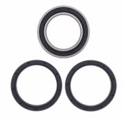 Комплект подшипников заденго колеса CAN-AM DS450 EFI/STD/X 2009-2014 (All Balls 25-1630)