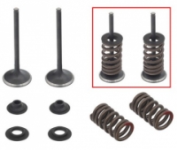 PSYCHIC XU-09501EK - комплект выпускные клапанов с пружинами и шайбами HONDA CRF 450R 2007-2008 стальные (MX-09501E) (30X4,98X84,3MM)