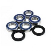 Подшипники оси колеса заднего All Balls 25-1492 для Honda CBR 600RR 2003-2006, CBR 1000RR 2004-2007