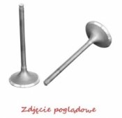 Выпускной клапан PROX 28.1334-1