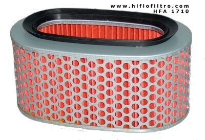 Фільтр повітряний HifloFiltro HFA1710 HONDA VT400/ VT750 Shadow (7213-MBA-000, 17213-MBA-010, 17213-MCL-J00)