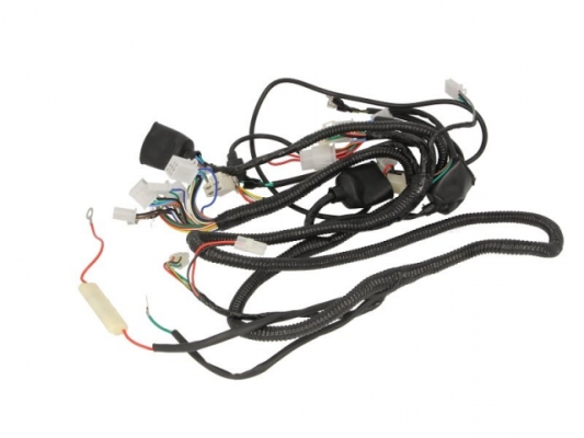 Жгут проводов GY6 50 4T INPARTS IP000424