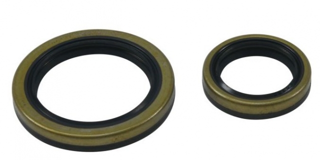 Комплект сальников коленвала Beta EVO 4T 250 2009-2018, EVO 4T 300 2009-2021 (All Balls 24-2043)