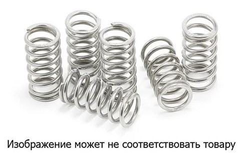 Пружины сцепления FERODO FE FSS0417