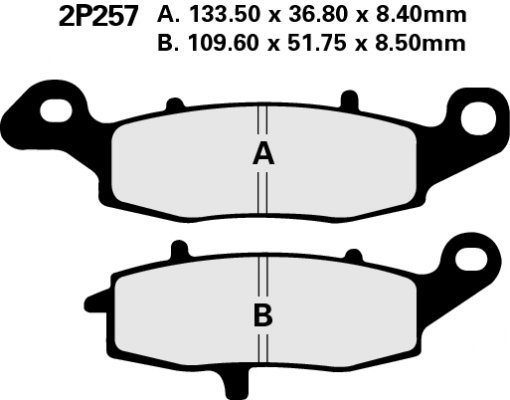 Тормозные колодки Nissin 2P257NS