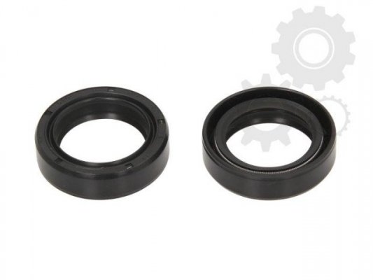 Сальники вилки ALL BALLS 55-103 AB