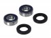 Подшипники оси колеса All Balls 25-1379 для BMW G650X, Honda CBR1100XX, CBR 600F4, CBR900RR, VFR800