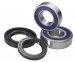 Подшипники и пыльники оси колеса ALL BALLS 25-1276 для SUZUKI GSX-R 600 1997-2009,GSX-R 750 1996-2009,GSX-R 1000 2001-2018,SV1000S 2003-2007,GSX-R1300R HAYABUSA 1999